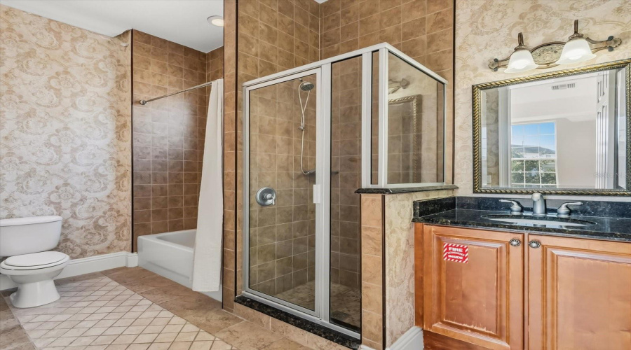 In Law Suite Bathroom