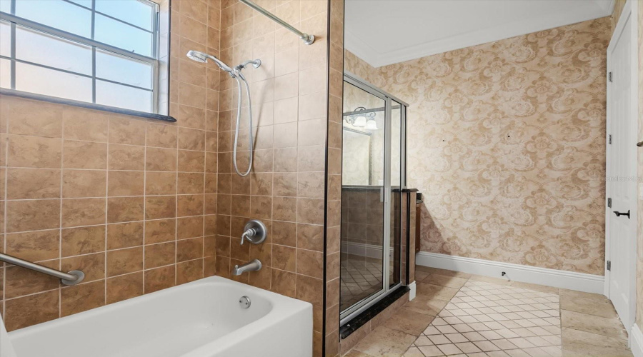 In Law Suite Bathroom