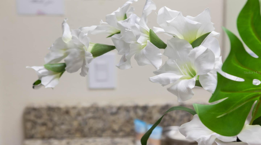 KISSIMMEE, Florida 34747, 8 Bedrooms Bedrooms, ,8 BathroomsBathrooms,Residential,For Sale,BROOKHURST,0,MFRO6361720