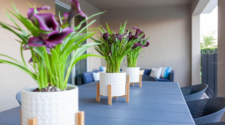 KISSIMMEE, Florida 34747, 8 Bedrooms Bedrooms, ,8 BathroomsBathrooms,Residential,For Sale,BROOKHURST,0,MFRO6361720