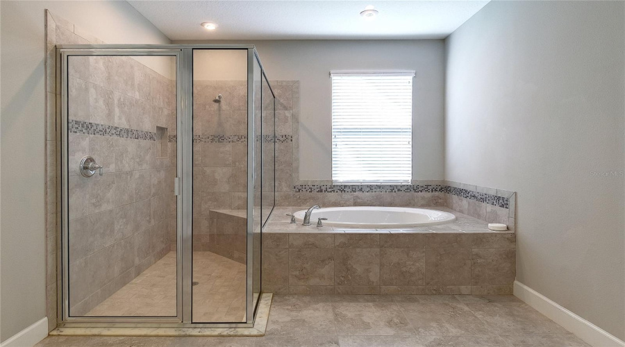 shower and tub master