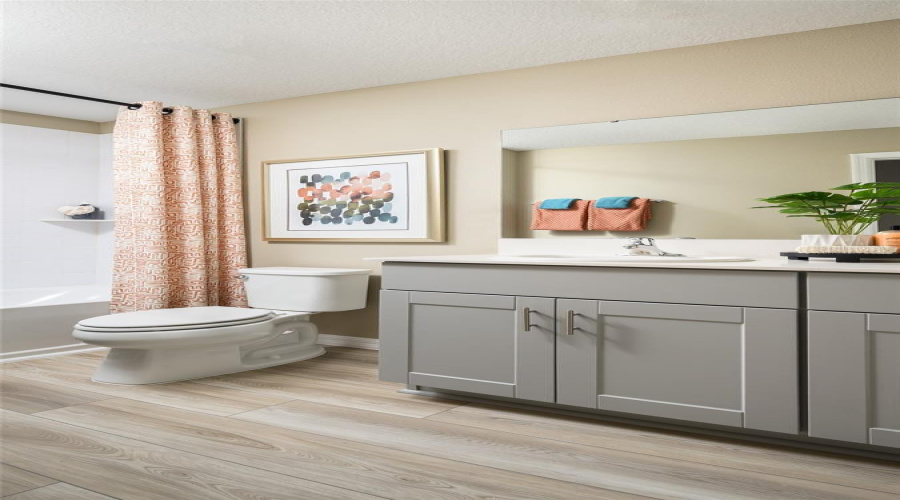 model home/virtually staged