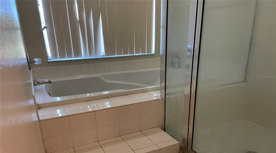 Master Tub and Walkin Shower
