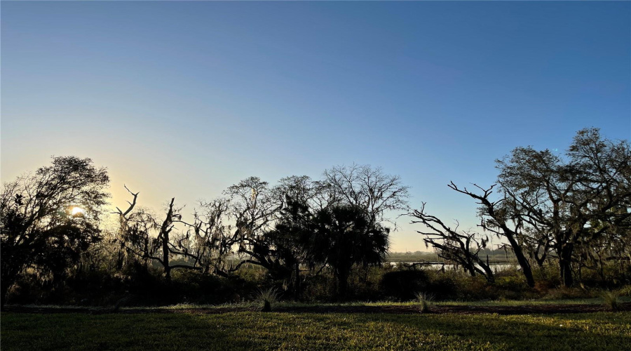 DAVENPORT, Florida 33896, 4 Bedrooms Bedrooms, ,3 BathroomsBathrooms,Residential,For Sale,FALLEN OAK,0,MFRO6363710