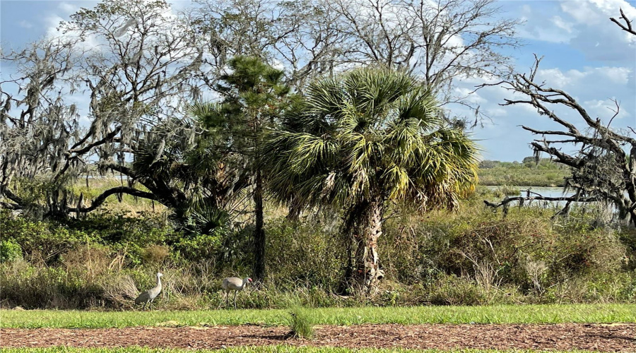 DAVENPORT, Florida 33896, 4 Bedrooms Bedrooms, ,3 BathroomsBathrooms,Residential,For Sale,FALLEN OAK,0,MFRO6363710