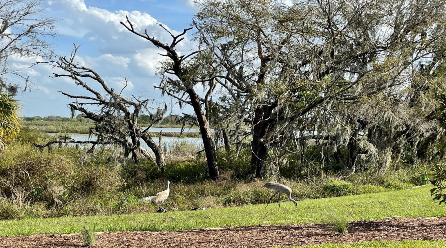 DAVENPORT, Florida 33896, 4 Bedrooms Bedrooms, ,3 BathroomsBathrooms,Residential,For Sale,FALLEN OAK,0,MFRO6363710