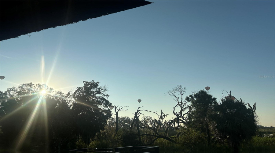 DAVENPORT, Florida 33896, 4 Bedrooms Bedrooms, ,3 BathroomsBathrooms,Residential,For Sale,FALLEN OAK,0,MFRO6363710