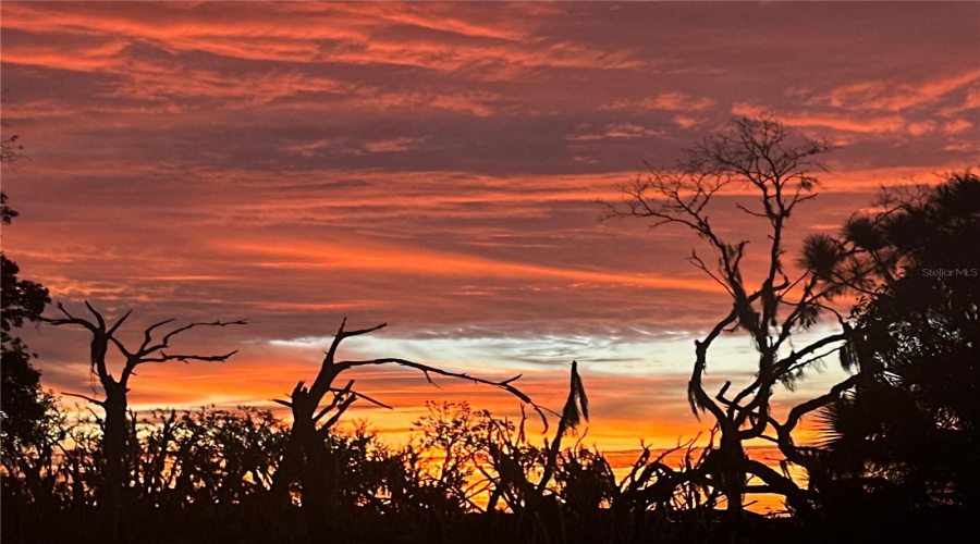 DAVENPORT, Florida 33896, 4 Bedrooms Bedrooms, ,3 BathroomsBathrooms,Residential,For Sale,FALLEN OAK,0,MFRO6363710