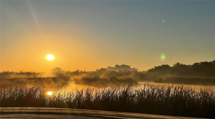 DAVENPORT, Florida 33896, 4 Bedrooms Bedrooms, ,3 BathroomsBathrooms,Residential,For Sale,FALLEN OAK,0,MFRO6363710