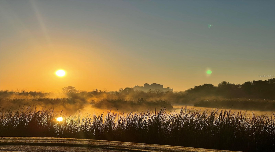 DAVENPORT, Florida 33896, 4 Bedrooms Bedrooms, ,3 BathroomsBathrooms,Residential,For Sale,FALLEN OAK,0,MFRO6363710