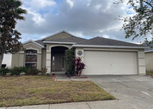 Photographer Coming Later this Week