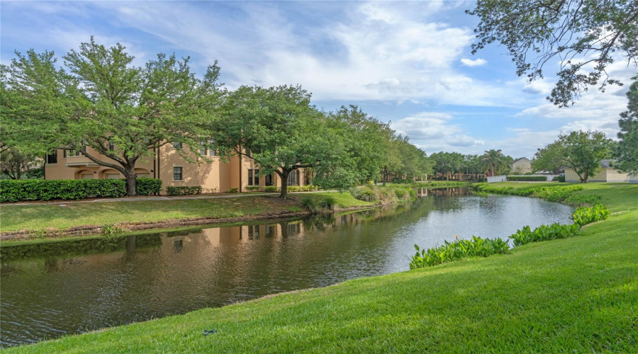 CELEBRATION, Florida 34747, 1 Bedroom Bedrooms, ,1 BathroomBathrooms,Residential,For Sale,MIRASOL,0,MFRO6364367