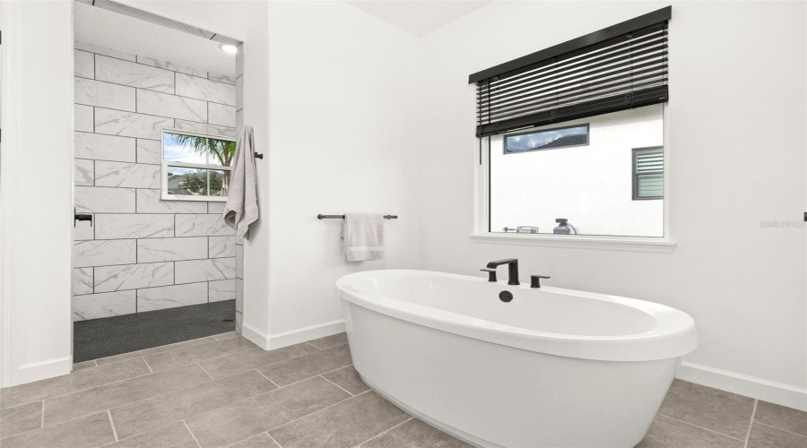 Soaking Tub and Walk In Shower