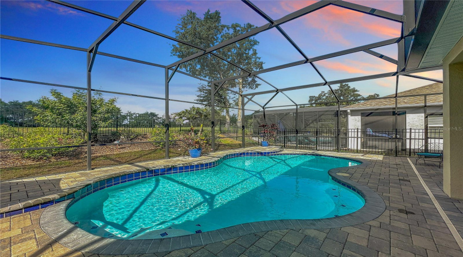 Summer Nights under the Stars