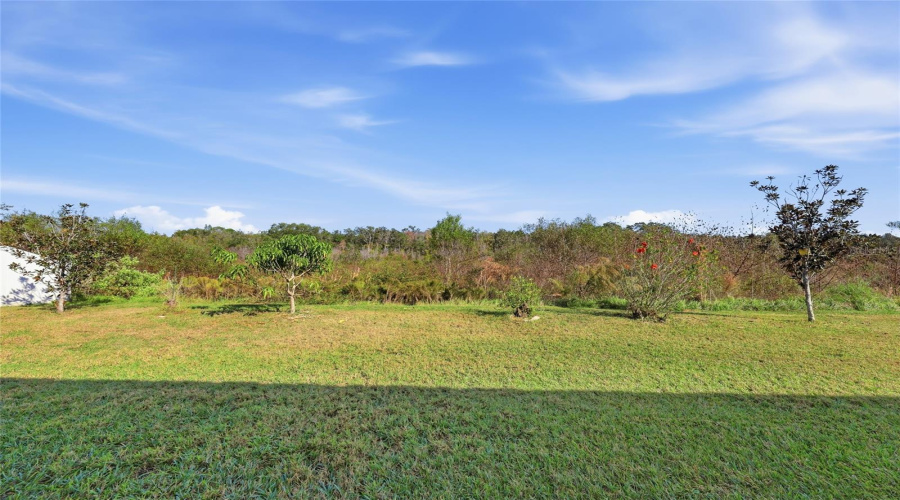 KISSIMMEE, Florida 34746, 4 Bedrooms Bedrooms, ,3 BathroomsBathrooms,Residential,For Sale,ANCESTRY,0,MFRO6365331