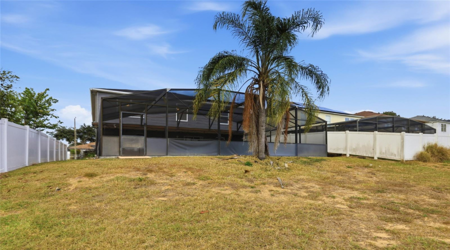 NO REAR VIEW NEIGHBORS