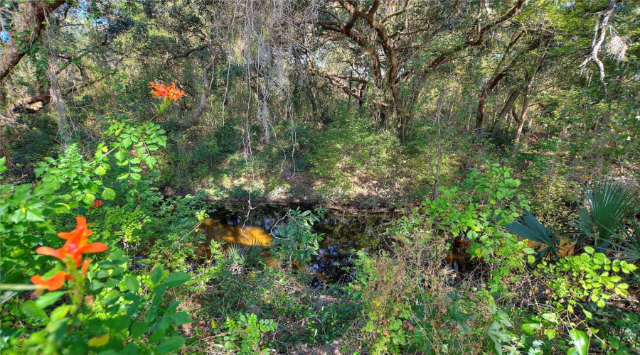 Horse Creek on north edge of property