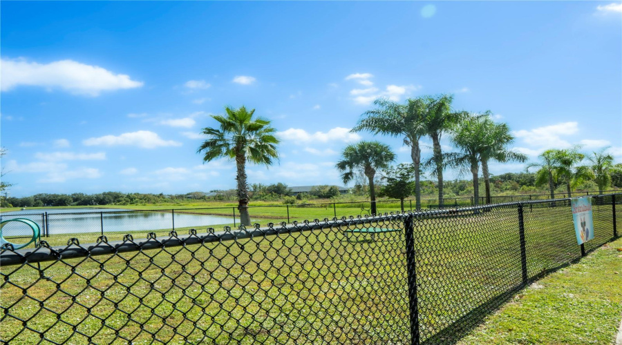 Spacious dog park surrounded by palm trees and open green space for play and relaxation.
