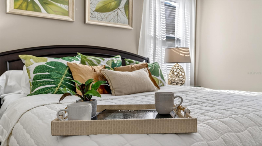 Primary Bedroom for Rest and Relaxation