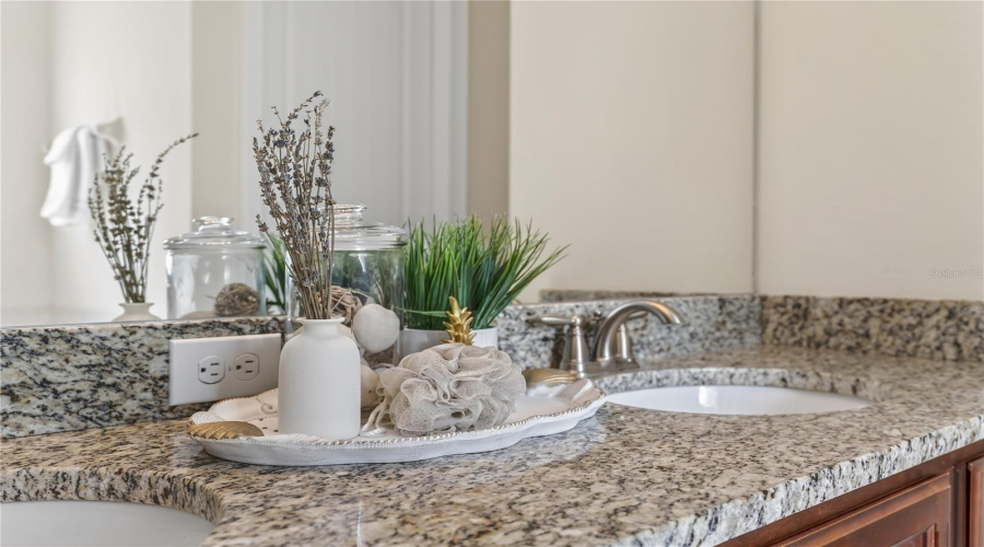 Walk in Closets in Both Primaries