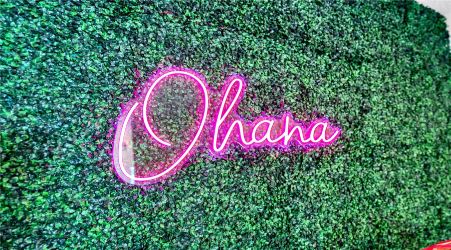 'Ohana' Means chosen Loved Ones