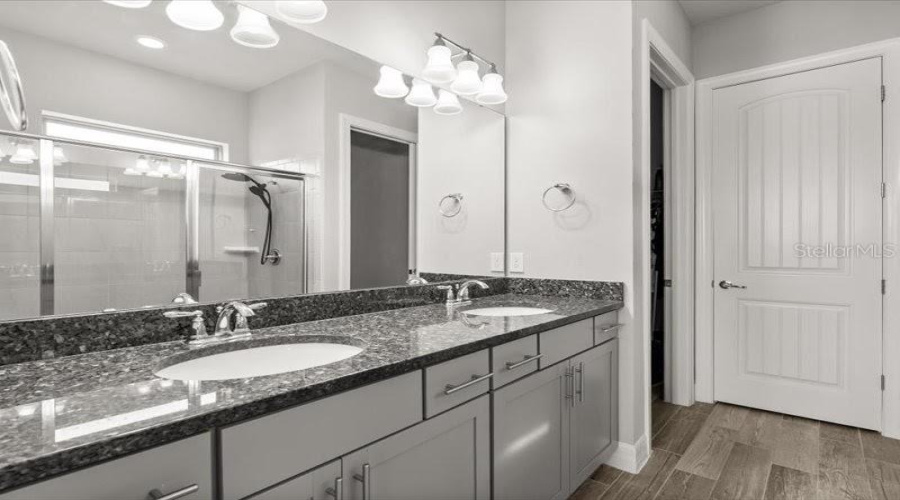 ORLANDO, Florida 32836, 5 Bedrooms Bedrooms, ,5 BathroomsBathrooms,Residential,For Sale,LEMON LAKE,0,MFRO6366645