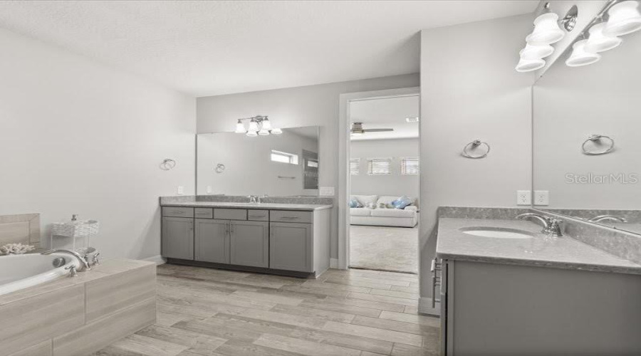 ORLANDO, Florida 32836, 5 Bedrooms Bedrooms, ,5 BathroomsBathrooms,Residential,For Sale,LEMON LAKE,0,MFRO6366645