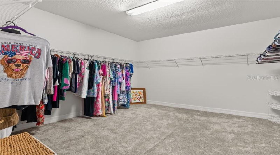 ORLANDO, Florida 32836, 5 Bedrooms Bedrooms, ,5 BathroomsBathrooms,Residential,For Sale,LEMON LAKE,0,MFRO6366645