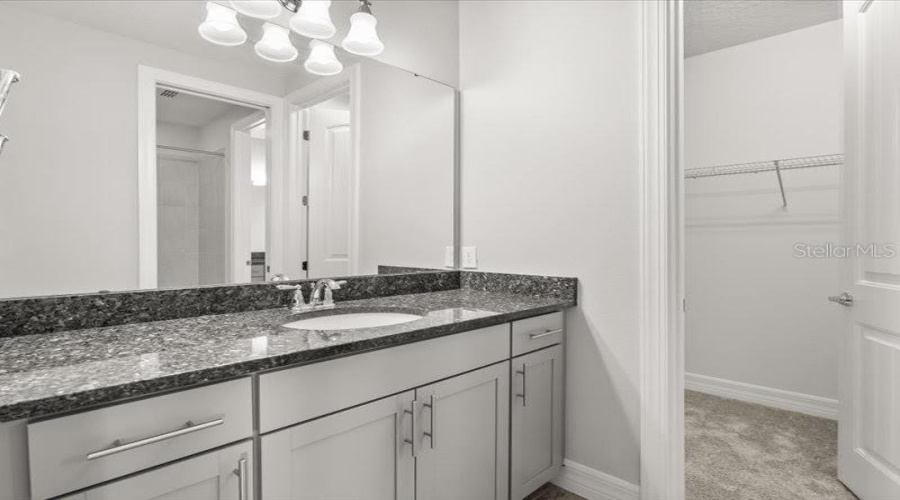 ORLANDO, Florida 32836, 5 Bedrooms Bedrooms, ,5 BathroomsBathrooms,Residential,For Sale,LEMON LAKE,0,MFRO6366645