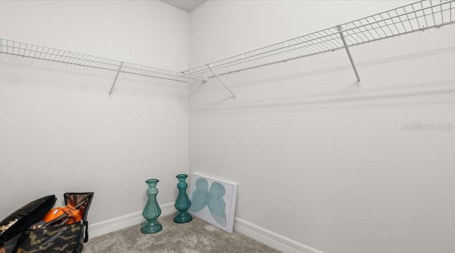 ORLANDO, Florida 32836, 5 Bedrooms Bedrooms, ,5 BathroomsBathrooms,Residential,For Sale,LEMON LAKE,0,MFRO6366645