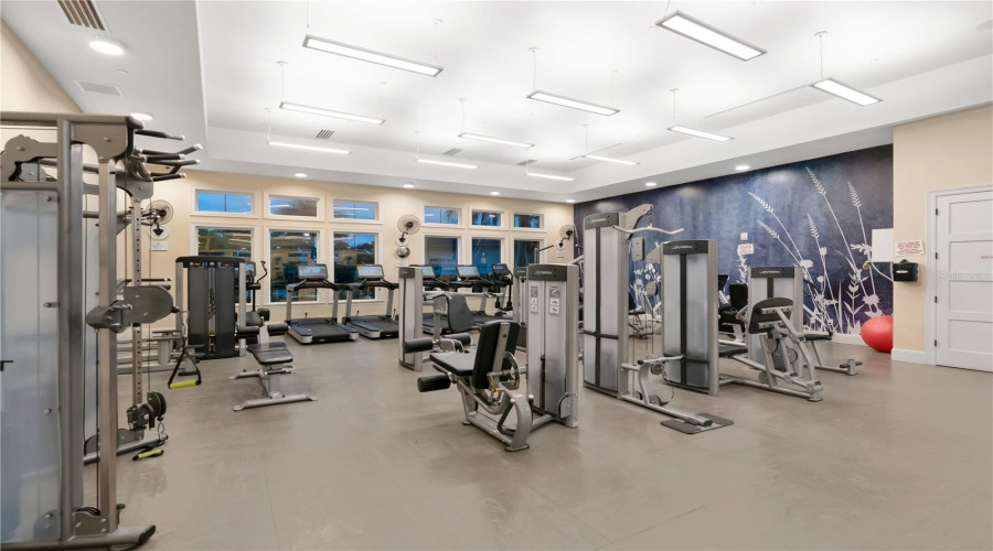 State of the art Gym equpiment