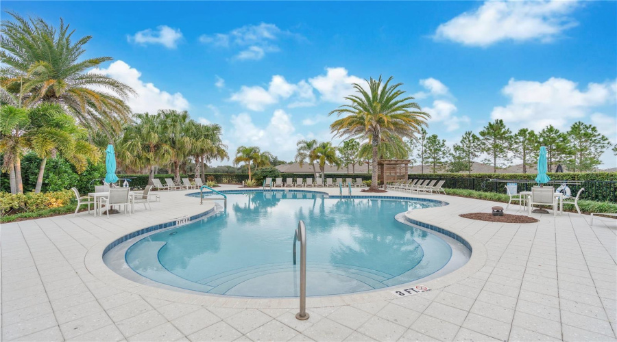 two pools , one for adults only