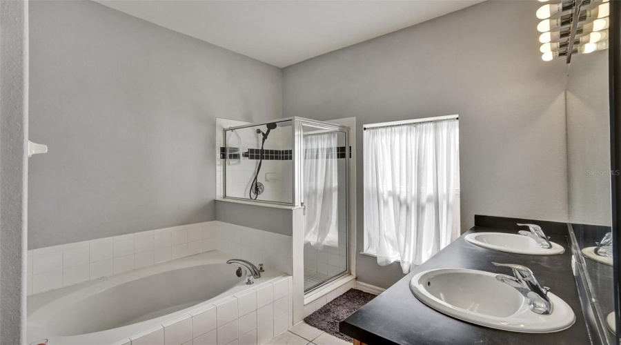 DAVENPORT, Florida 33837, 5 Bedrooms Bedrooms, ,3 BathroomsBathrooms,Residential,For Sale,VIZCAY,0,MFRS5138958