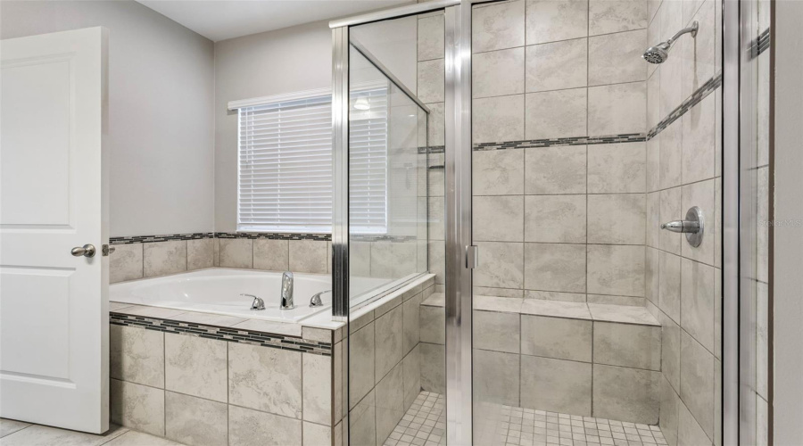 Soaking tub and enclosed shower