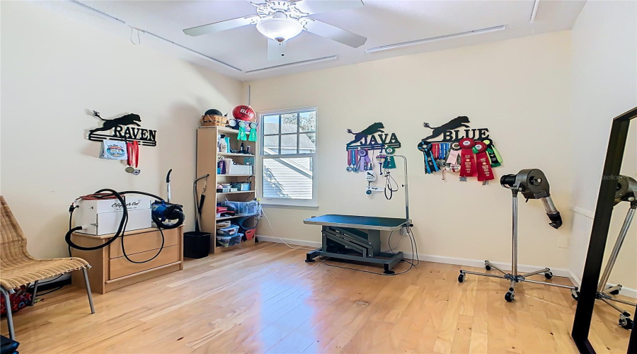 CELEBRATION, Florida 34747, 6 Bedrooms Bedrooms, ,3 BathroomsBathrooms,Residential,For Sale,BANKS ROSE,0,MFRS5137208