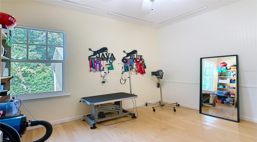 CELEBRATION, Florida 34747, 6 Bedrooms Bedrooms, ,3 BathroomsBathrooms,Residential,For Sale,BANKS ROSE,0,MFRS5137208