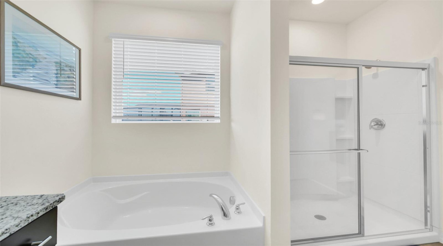 DAVENPORT, Florida 33837, 6 Bedrooms Bedrooms, ,5 BathroomsBathrooms,Residential,For Sale,OAKMOSS,0,MFRO6367564