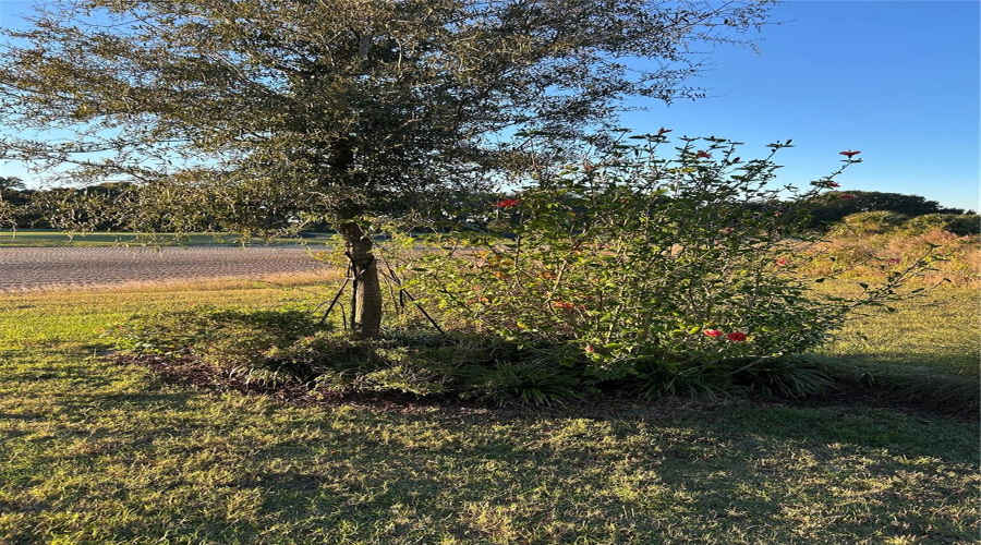 KISSIMMEE, Florida 34747, 2 Bedrooms Bedrooms, ,2 BathroomsBathrooms,Residential,For Sale,SAND PIERRE,0,MFRO6368190