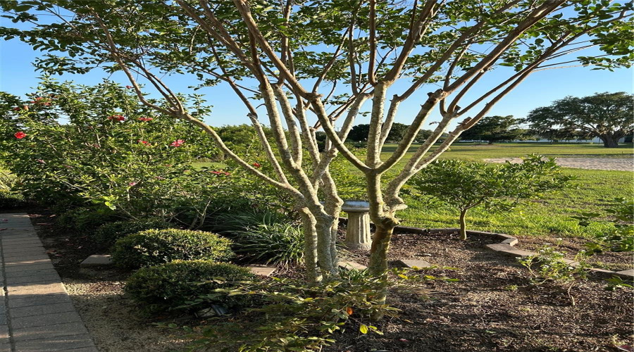 KISSIMMEE, Florida 34747, 2 Bedrooms Bedrooms, ,2 BathroomsBathrooms,Residential,For Sale,SAND PIERRE,0,MFRO6368190