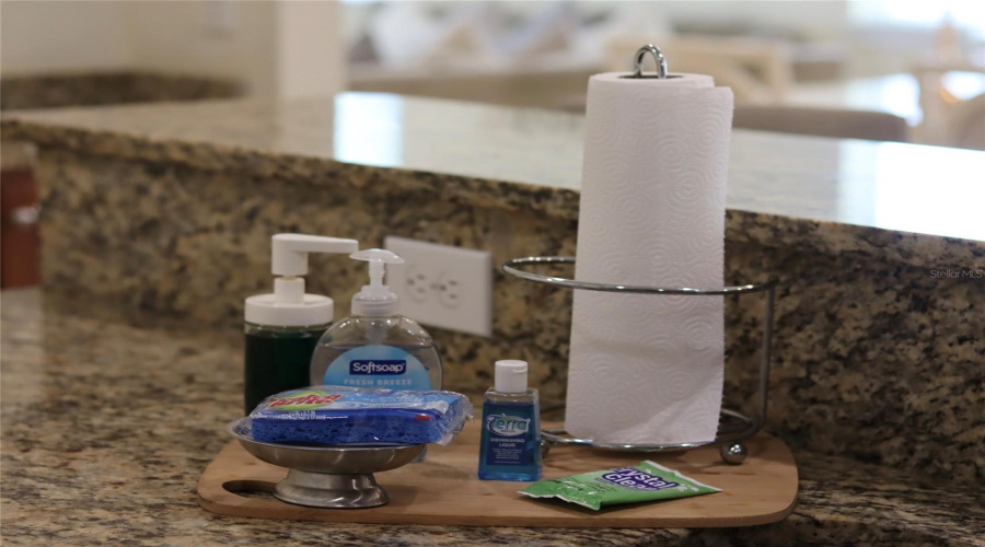 KISSIMMEE, Florida 34747, 10 Bedrooms Bedrooms, ,10 BathroomsBathrooms,Residential,For Sale,LASSO,0,MFRO6368608