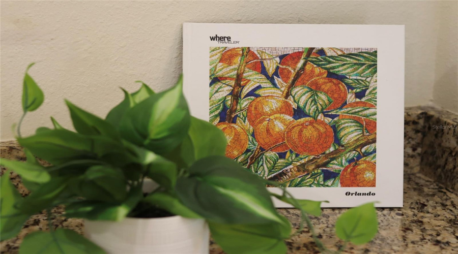 KISSIMMEE, Florida 34747, 10 Bedrooms Bedrooms, ,10 BathroomsBathrooms,Residential,For Sale,LASSO,0,MFRO6368608