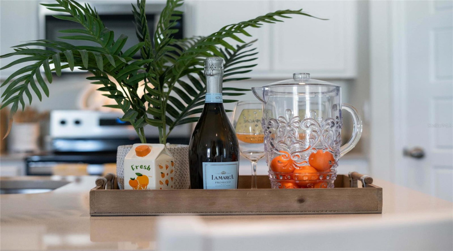 DAVENPORT, Florida 33837, 4 Bedrooms Bedrooms, ,2 BathroomsBathrooms,Residential,For Sale,MOLERA BEACH,0,MFRO6344439