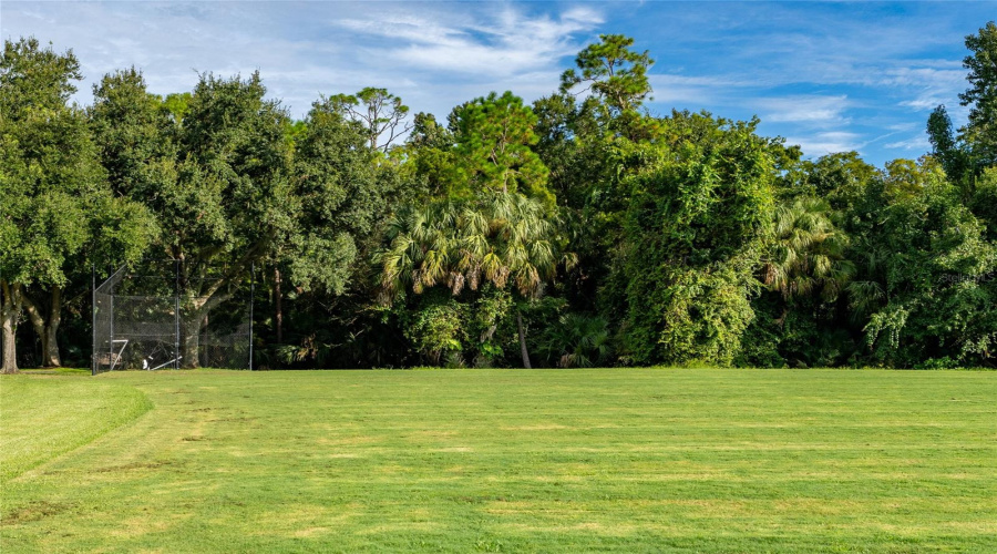 CELEBRATION, Florida 34747, 3 Bedrooms Bedrooms, ,2 BathroomsBathrooms,Residential,For Sale,FALLING LEAF,0,MFRS5134235