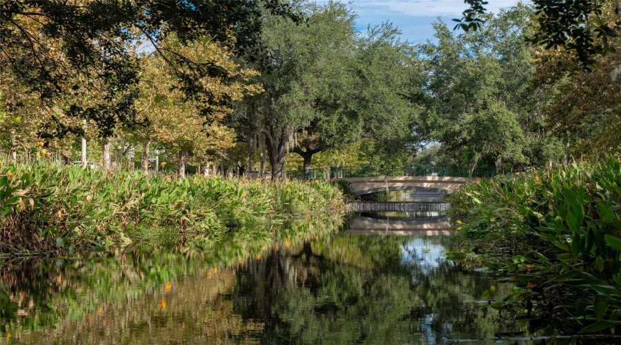 CELEBRATION, Florida 34747, 3 Bedrooms Bedrooms, ,2 BathroomsBathrooms,Residential,For Sale,FALLING LEAF,0,MFRS5134235