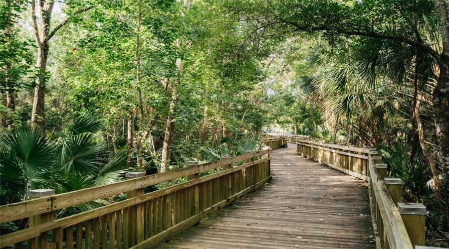 CELEBRATION, Florida 34747, 3 Bedrooms Bedrooms, ,2 BathroomsBathrooms,Residential,For Sale,FALLING LEAF,0,MFRS5134235