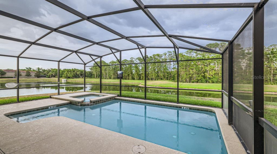 Pool + Pond View