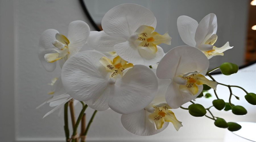 KISSIMMEE, Florida 34746, 8 Bedrooms Bedrooms, ,5 BathroomsBathrooms,Residential,For Sale,PENELOPE,0,MFRO6370455