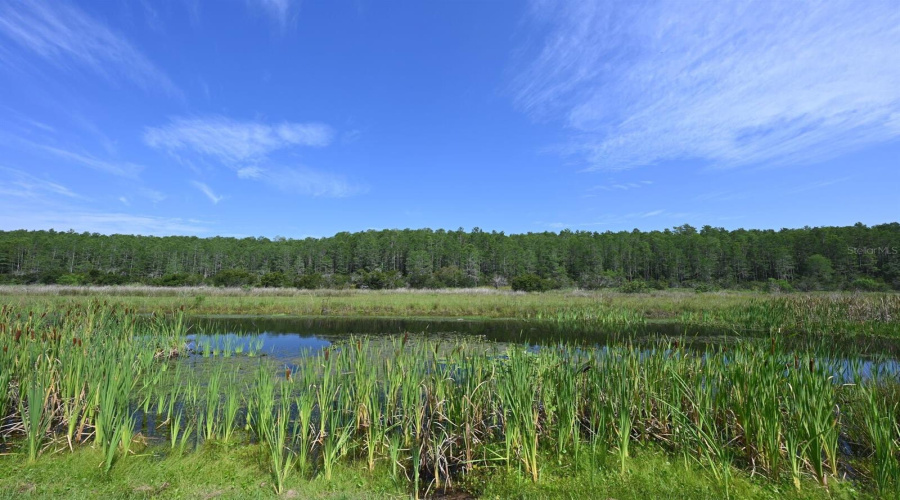 KISSIMMEE, Florida 34746, 8 Bedrooms Bedrooms, ,5 BathroomsBathrooms,Residential,For Sale,PENELOPE,0,MFRO6370455