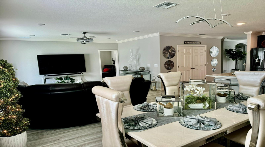Family Room/ Dinette