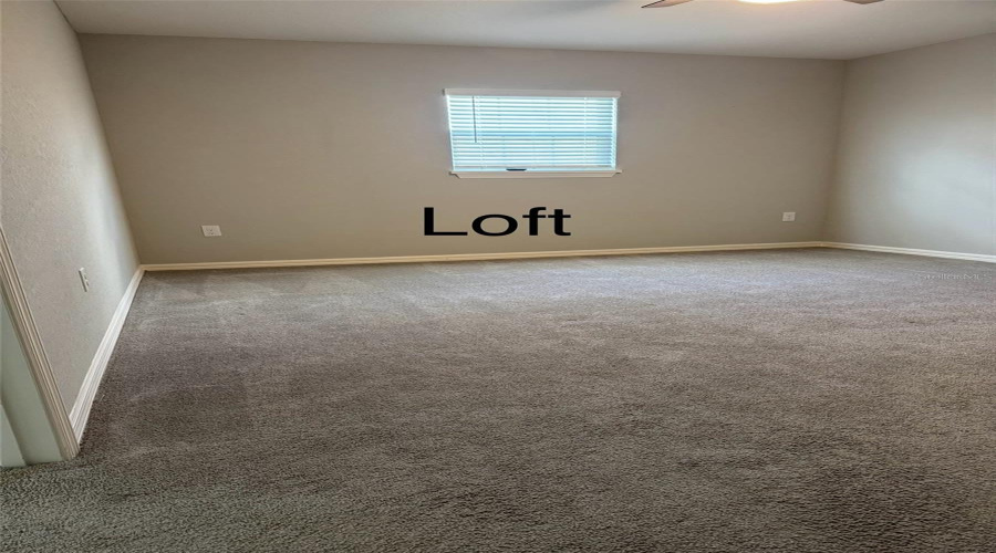 Unfurnished Loft